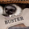 Buster’s Personalised Squeaky Dog Toy