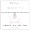 Life Charms December Flower Bracelet