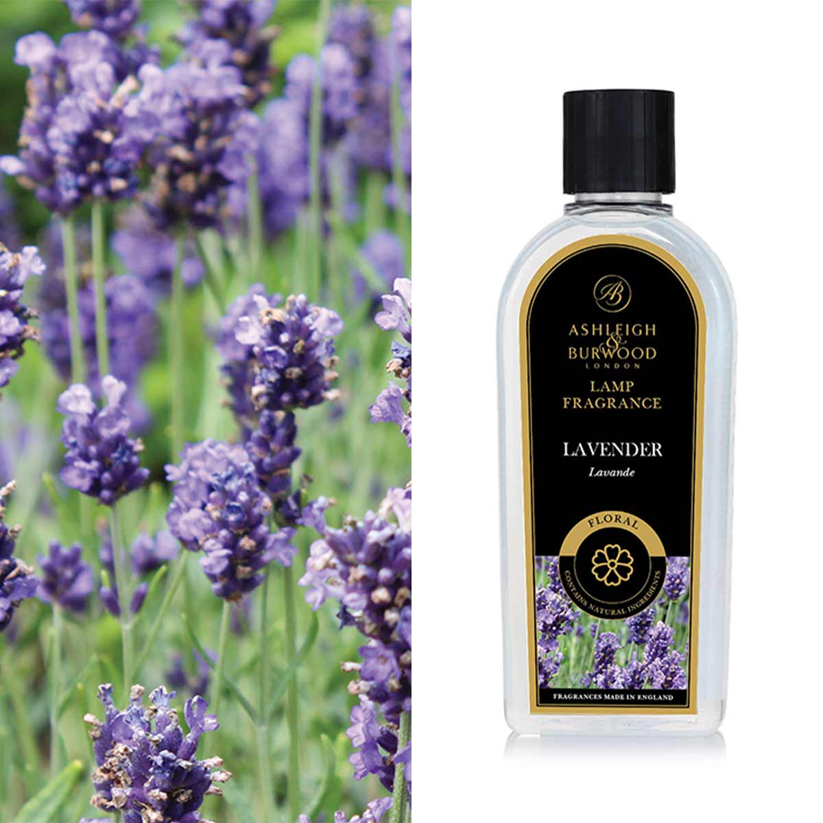 Ashleigh & Burwood Olio Profumato Per Lampada Catalitica - Bergamotto & Oud - 250 Ml, Fino A 10 Ore Di Profumazione, Fragranza Orientale