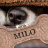 Milo’s Personalised Squeaky Dog Toy