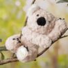 The Plush Sitting Light Brown Kingston Koala Bear 22cm