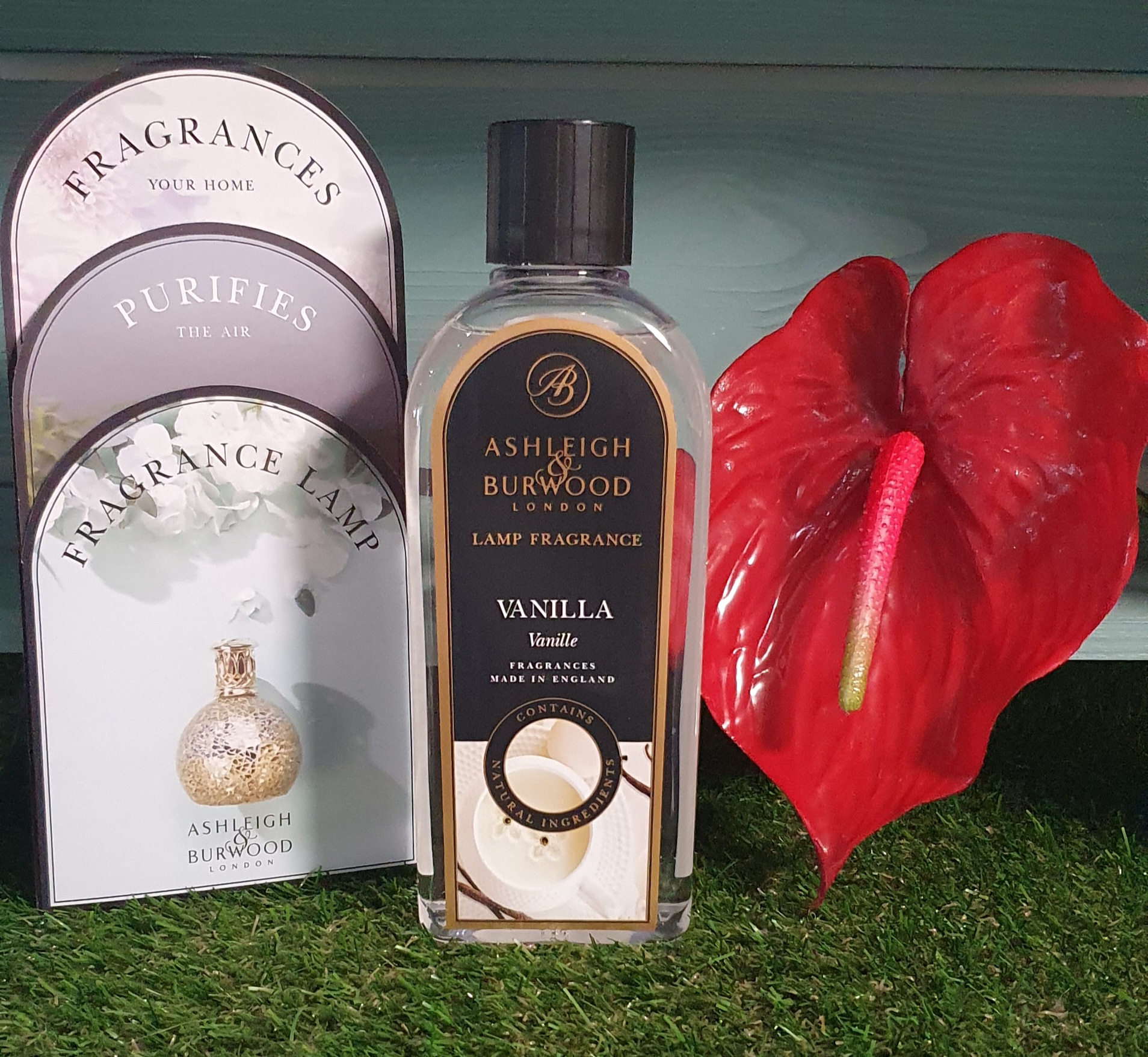 Ashleigh and Burwood Vanilla 500ml