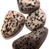 Dalmatian Jasper Tumblestone with Information Card