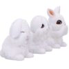 Three Wise Bunnies